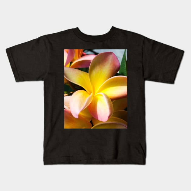 plumeria-flowers-frangipani-floral-blossom-petal-bloom-shirtyshirto-28 Kids T-Shirt by Shirty.Shirto